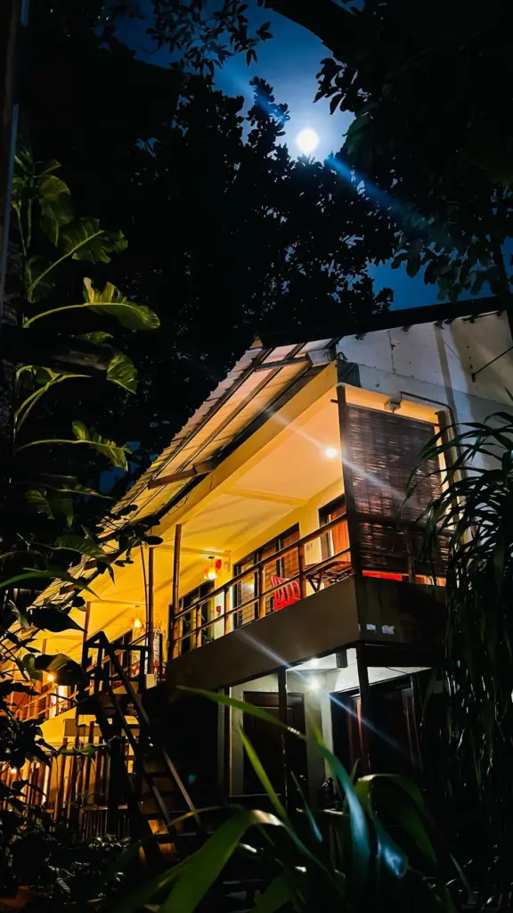 The Lazy Dog lit up at night under a full moon
