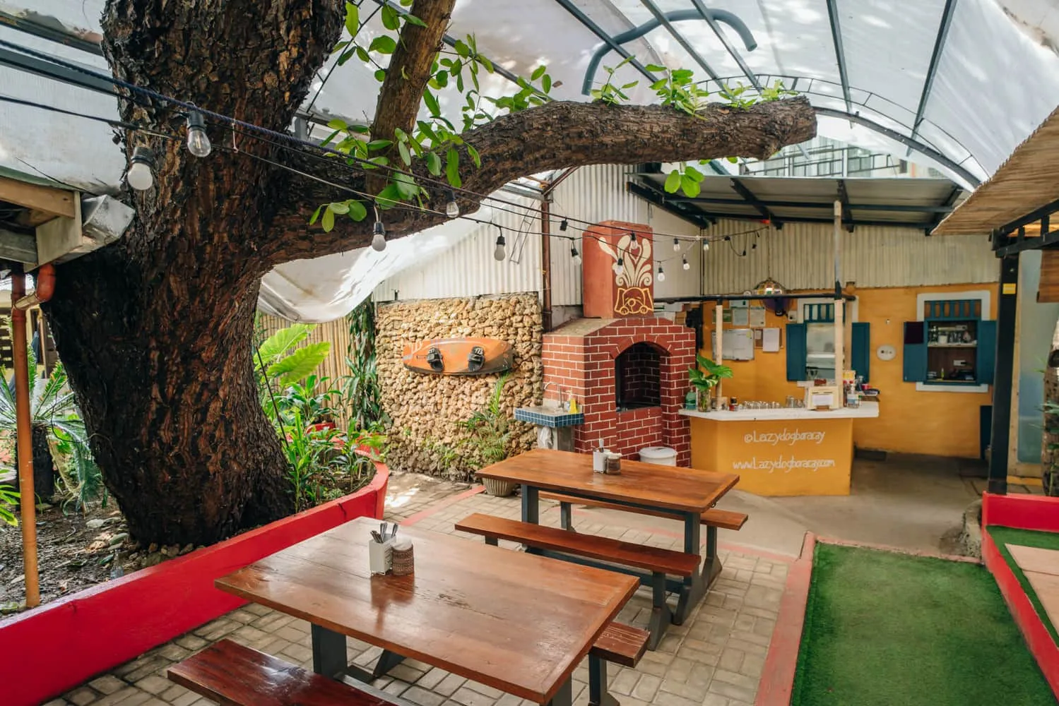 The century-old tree growing straight through the garden café at The Lazy Dog